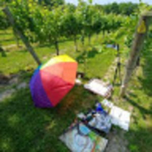 Meet your Posher, Ian